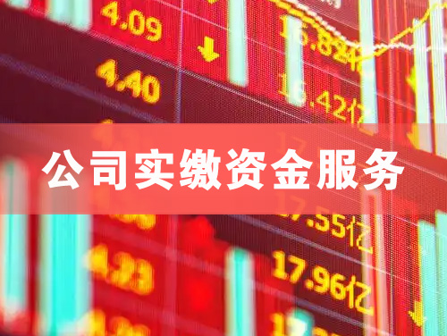 长春公司实缴资金服务